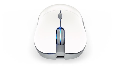 Mysz ENDORFY GEM Plus Wireless Onyx White