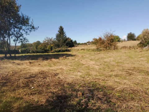 Działka nad morzem niedaleko Kołobrzegu ok. 1000 m2 Działka nad morzem niedaleko Kołobrzegu ok. 1000 m2
